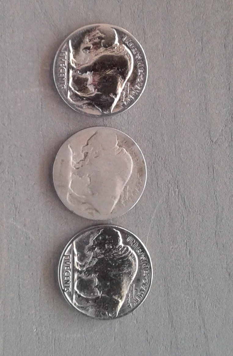I-Am-New,-And-Need-Help...buffalo-Nickels